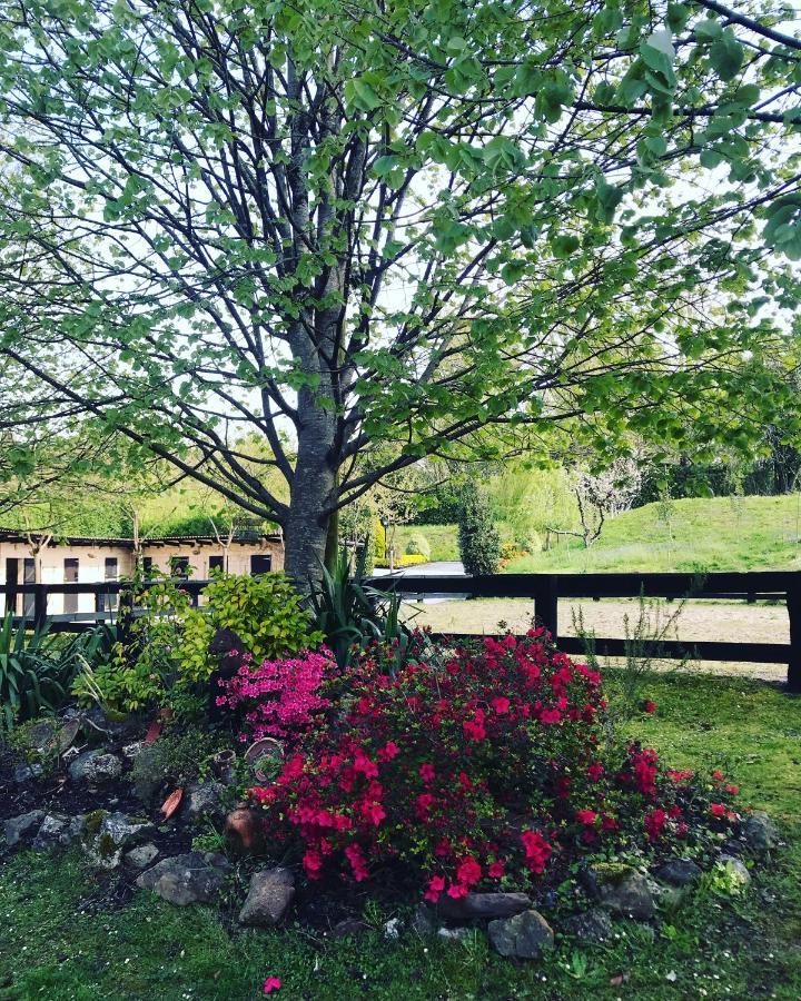 Agroturismo Anziola Oiartzun Zewnętrze zdjęcie