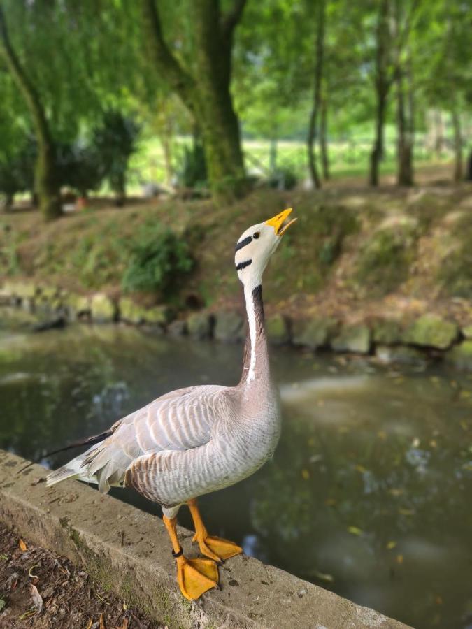 Agroturismo Anziola Oiartzun Zewnętrze zdjęcie